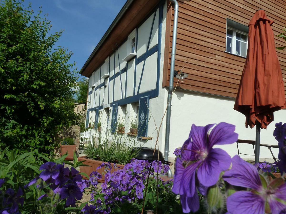 Goldbachhaeuschen Villa Olbersdorf Dış mekan fotoğraf